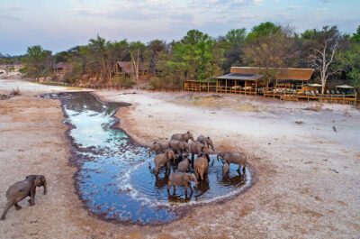 Savute Safari Lodge