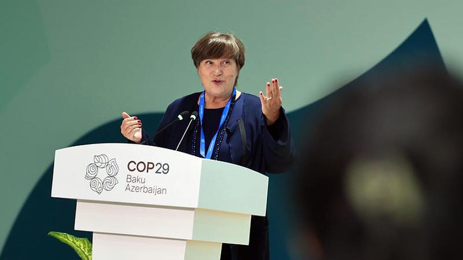 COP29